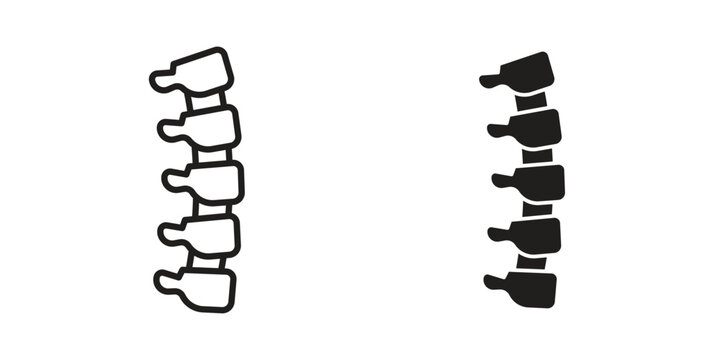 Spine icon in line design. Simple icon vector