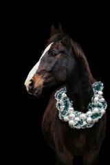 Warmblutpferd mit Weihnachtskranz