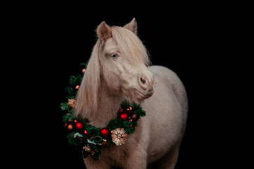 Weihnachtspony