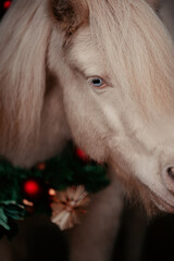 Weihnachtspony