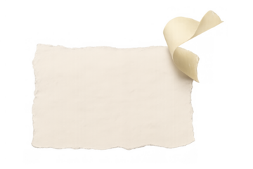 Beige torn paper piece with a curled corner and textured surface on a transparent background, providing space for text