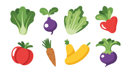 Fresh collection of vegetables isolated on white