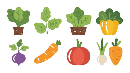 Fresh collection of vegetables isolated on white