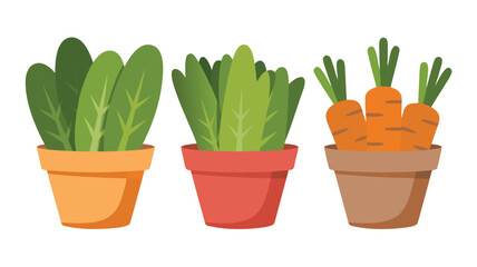 Potted Vegetables and Leafy Greens for Home Gardening