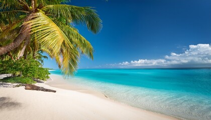 escape to paradise with turquoise waters and swaying palms on golden sands