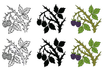 Blackberry Bramble Styles. Tangled blackberry bramble with sharp thorns, minimal vector design, first in line style with thin