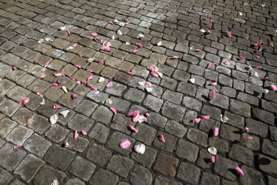 Hintergrund Bild einer Hochzeit, Verstreute Rosenbl&uuml;tenbl&auml;tter auf dem Boden