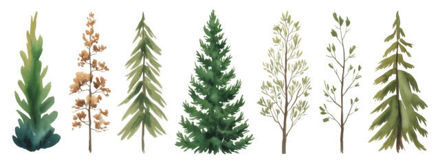 Obraz premium Spruce green tree watercolor illustration, Forest landscape, Fir silhouette 