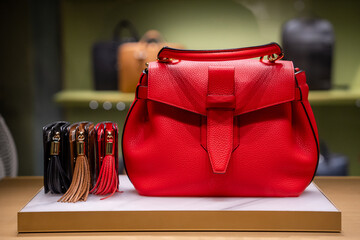 Stylish Red Handbag Displayed with Tassels in Store