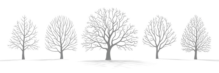 Fototapeta premium Winter various snowed trees isolated png on a transparent background premium cutout 