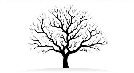 Isolated silhouette of a bare tree on a white background creates dramatic contrast 
