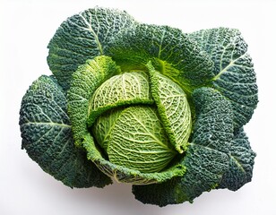 fresh green savoy cabbage isolated top view healthy vegetable food ingredient natural organic produce white background