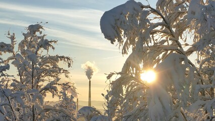 An urban winter landscape with snow- and frost-covered trees and bushes on a sunny, frosty day. Smoking chimneys are visible in the distance.