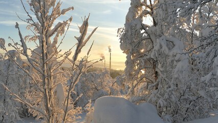 An urban winter landscape with snow- and frost-covered trees and bushes on a sunny, frosty day. Smoking chimneys are visible in the distance.