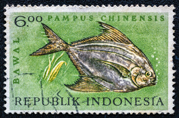 Indonesia CIRCA 1963:A stamp printed in Indonesia shows image Chinese silver pomfret (or silverfish, Pampus argenteus).Fish serie.Philately.World stamp collection.