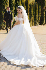 Fototapeta premium Bride in elegant wedding dress walks gracefully in beautiful outdoor setting during sunny day