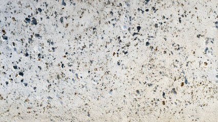 A pale concrete slab with scattered tiny mineral flecks forming minimal organic abstract ground texture