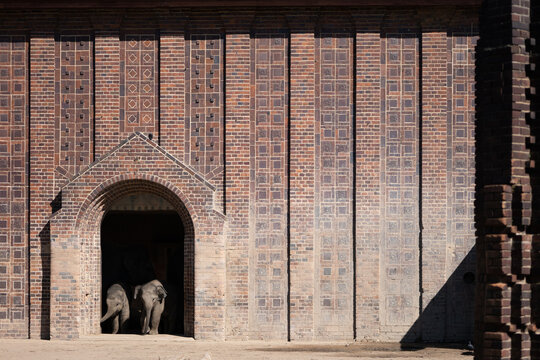 Elephants at Zoo Leipzig Entering Historic Elephant House