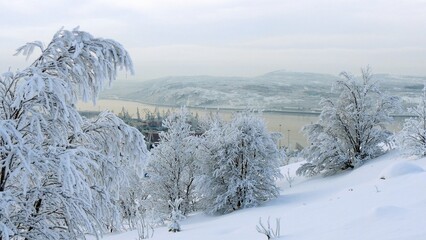 A typical day at the seaport on a frosty winter day. Kola Bay. Trees and bushes are covered in snow and frost.