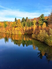 A lake with a smooth water surface is surrounded by an autumn forest with bright yellow and orange leaves. Reflection of trees in the water. Autumn natural background. And a blue sky with white cloud.