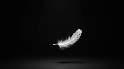 Single white feather suspended in mid-air against black void, weightless freedom and peace. Cloud Dancer Color of 2026.