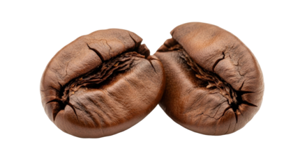 Close-up shot of two roasted coffee beans, showing intricate details and textures.