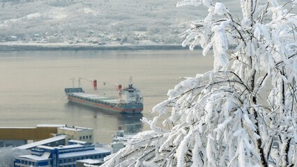 A typical day at the seaport on a frosty winter day. Kola Bay. Trees and bushes are covered in snow and frost.
