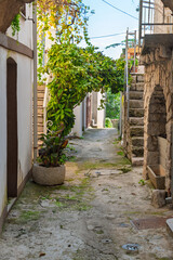 Charming alleyway with stone staircase and lush greenery. Omi&scaron;alj, Krk island, Croatia
