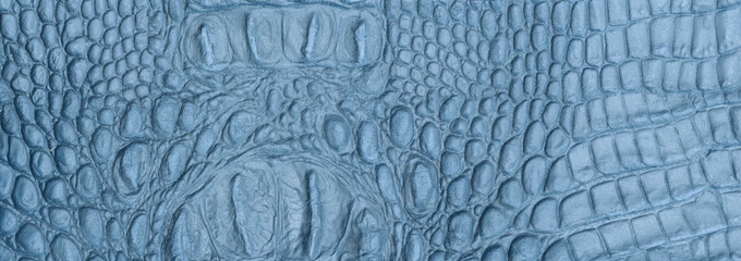 Abstract textured blue leather with a crocodile skin texture pattern background with small pattern for web banner template or wallpaper design.