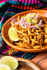 Close up view, Cochinita pibil from Yucatan, Mexico, Mexican food