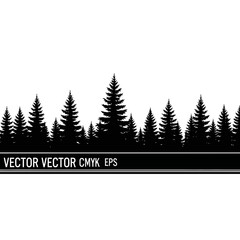 Obraz premium Monochrome Forest Vector Graphic with Evergreen Trees and Forest Scene