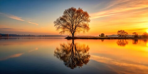 A serene Autumn scene with a solitary tree standing tall as a silhouette against the warm hues of sunset reflected on a peaceful lake
