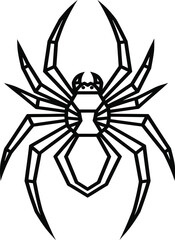 spider on a white background