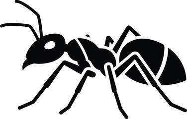 ant
