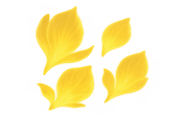Yellow falling floral petals generating light on a transparent background for spring and summer motifs