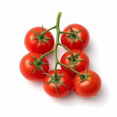 Fresh red vine ripened tomatoes on green stem, isolated white