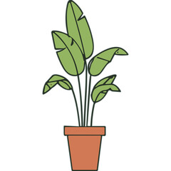 Green Bird Of Paradise Plant In A Terracotta Pot With Large Leaves And A Simple Artistic Style On A Transparent Background