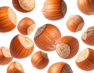 Isolated hazelnuts, featuring textures and warm tones against a contrasting black backdrop