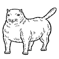 Funny medieval strong fat cat illustration – hand-drawn vintage manuscript style, quirky creature art, humorous medieval animal drawing