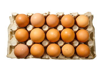 organic eggs in a box