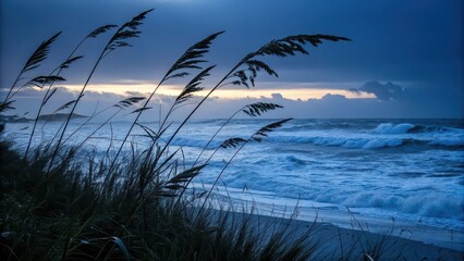 Dramatic coastal scene showing tall beach grass in the foreground and powerful ocean waves crashing under a moody twilight sky.