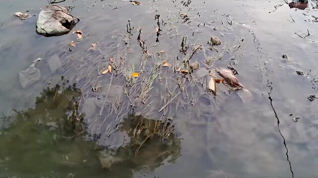 fishing spot in the river when the tide is low