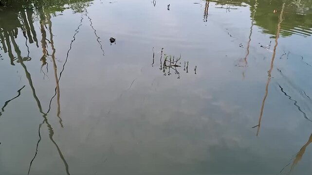 fishing spot in the river when the tide is low
