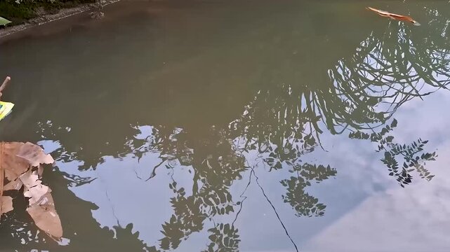 fishing spot in the river when the tide is low