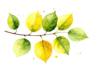 Watercolor depiction of a branch adorned with autumnal leaves, showcasing vibrant shades of green and yellow