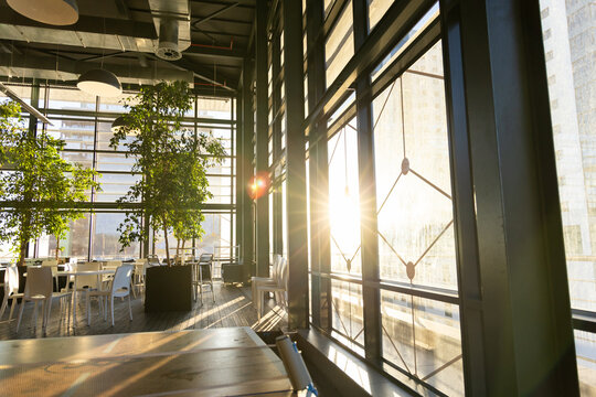 Metal-framed windows are casting warm flare and shadows across wooden floor, white chairs in atrium