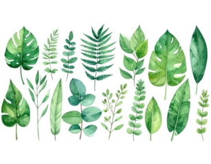 Watercolor illustration of assorted green leaves on black background