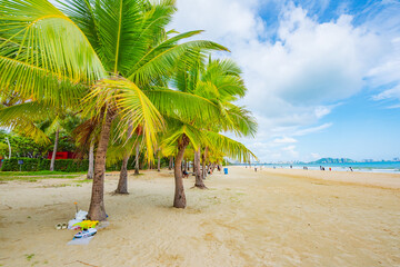 Coconut Dream Corridor and Beach Scenery in Sanya, Hainan
