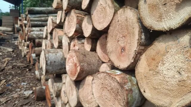 A striking close up view of stacked timber logs shows wood textures and cut patterns. An exploration of natural resources, ideal for industry and forestry visuals.