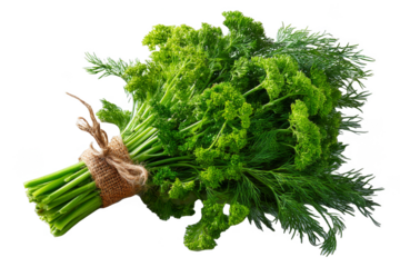 Fresh green herbs tied together on a transparent background with no specific details about location or time